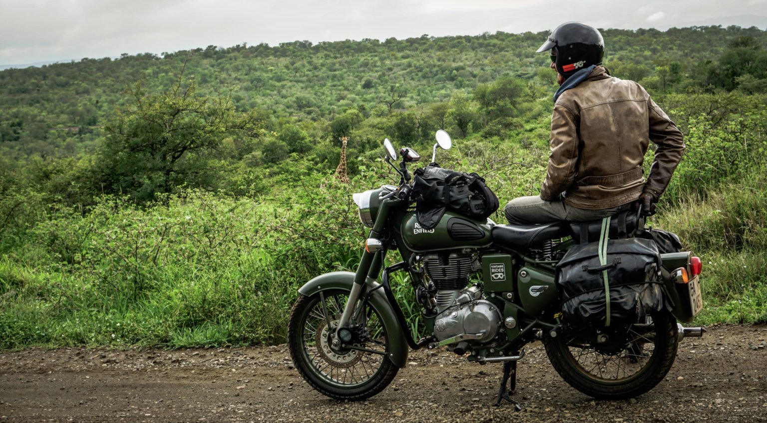 royal enfield south africa