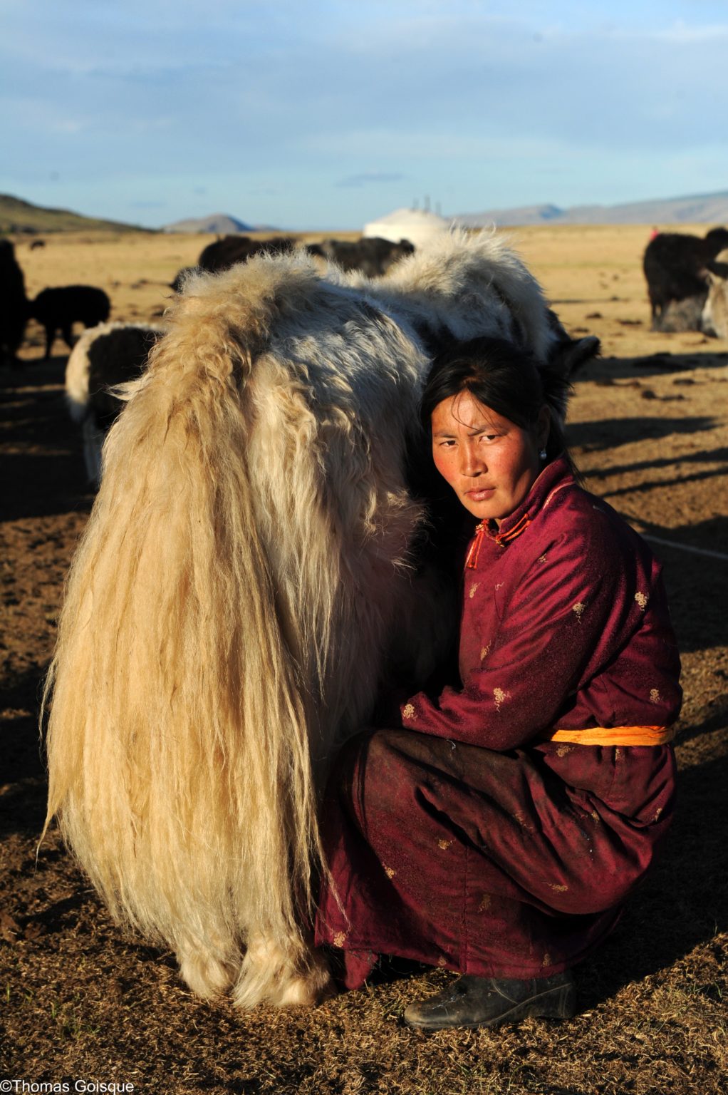 visite mongolie
