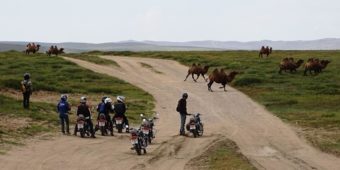 trip mongolie moto